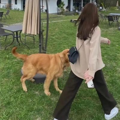 死神的呼唤
